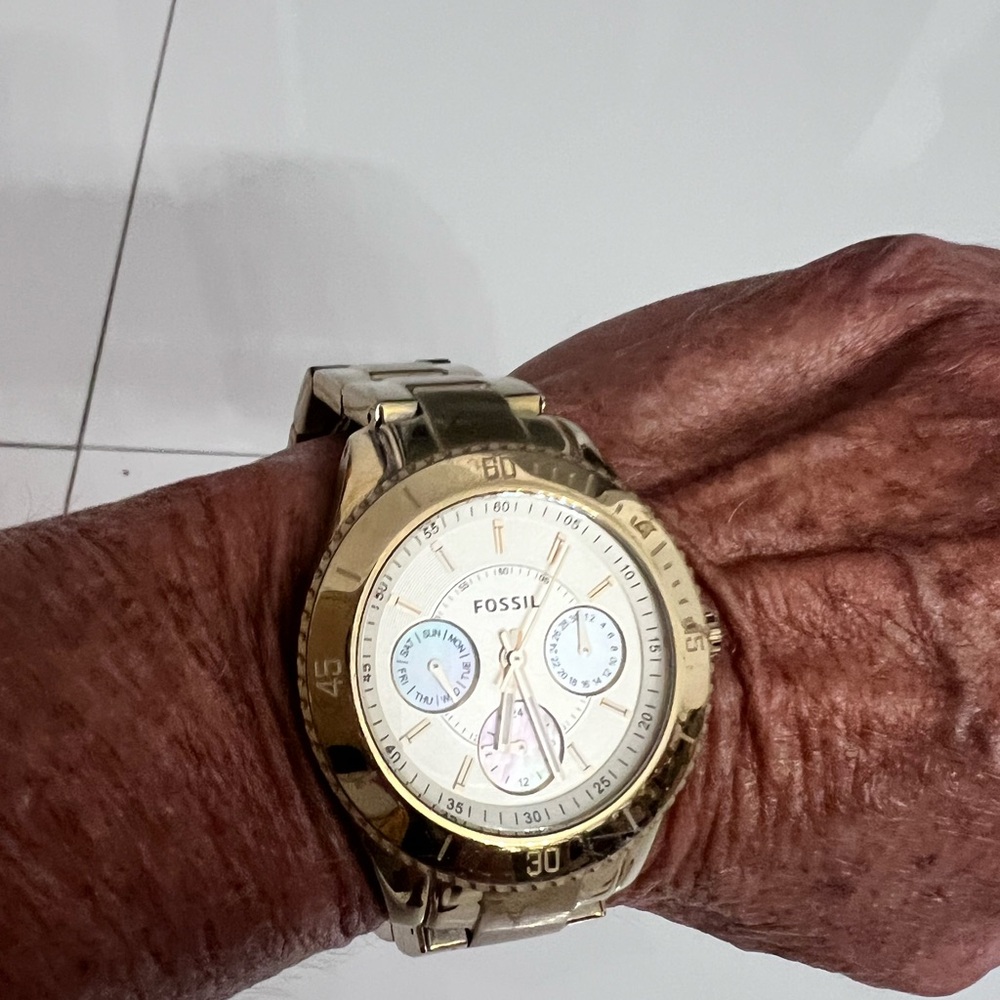 Fossil lady